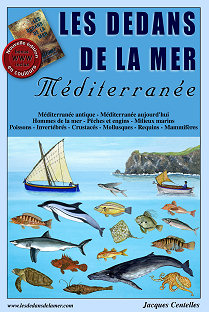livre mer méditerranée les dedans de la mer couverture